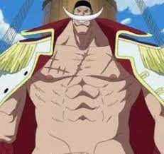 The one piece is real penis