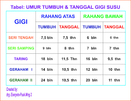 Sementara kita kehilangan hanya 20 gigi susu, ketika lalu apakah gigi geraham susu akan tanggal juga? Apakah Gigi Yang Dicabut Bisa Tumbuh Lagi