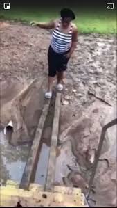 Apa yg terjadi itu yg terbaik !! Video Funny Meme Lucu Lucu Binatang Lucu