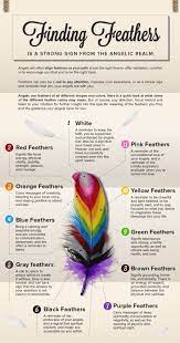 Finding Feathers Finding Feathers Feather Meaning Feather Color Meaning