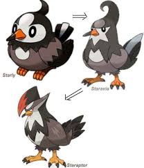 Extraordinary Pokemon Starly Evolution 2019