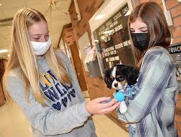 Therapy pets help students