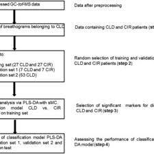 The Conceptual Flow Chart Of The Statistical Analysis