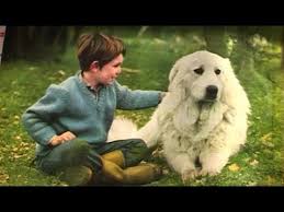 Un film de christian duguay. Cecile Aubry Et Mehdi Parlent Du Chien Flanker Belle Et Sebastien Youtube