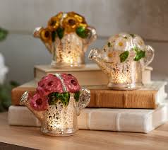 Official site of gianna rose atelier. Set Of 3 Illuminated Mercury Glass Watering Cans By Valerie Qvc Com