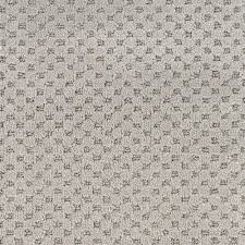 This carpet would be used in all the bedrooms and the stairs of our home (we are doing the downstairs in laminate.) we are on a budget and do not need to spend more than $8 per yard. Stainmaster Petprotect Natural Essence Nile Carpet Sample Lowes Com In 2020 Stainmaster Carpet Samples Indoor Carpet