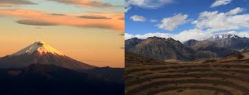 Here you can easy to compare statistics for both teams. Ecuador Vs Peru Travel