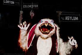 The Salem of the South: Halloween hauntings take over local Virginia town