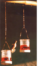 Woodstream woodstream repl hummingbird flower 202f. Cheap Diy Hummingbird Feeder Mother Earth News