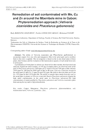 Image result for Phacelurus gabonensis