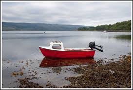 We then asked them to explain why they think those models have such high appeal. Rowing Boats Fishing Dinghies Fast Fishing Boats For Sale