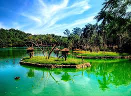 With 824,529 m2 (82.45 hectares 203.7 acres) of space in what was originally the atlantic forest. Sao Paulo Zoo S Monkey Islands Looking Forward To Replicating And Improving On This Design When Building My Ring Tailed Lemur Exhibit Any Other Good Examples Planetzoo