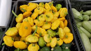 Easy to grow in a container! Baby Yellow Patty Pan Squash Information Recipes And Facts