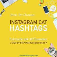 I am so so so happy to have delivered this to @thecatdaddy #jacksongalaxy @thejacksongalaxyproject!! 7 Cat Hashtags Ideas Hashtags Cats Instagram Hashtags