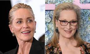 Sharon stone blames mask refuseniks as sister is hospitalised with covid. Sharon Stone Shades Meryl Streep There Are Other Great Actresses Indiewire