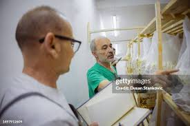 657 Fungus Under Microscope Stock Photos, High-Res Pictures, and Images