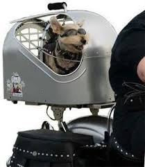 Hundetransport Motorradhund Hund Hundetransport Motorrad Trend Mottorrad Hund Hundetransport Motor Hundetransport Hunde Trager Transport Hund