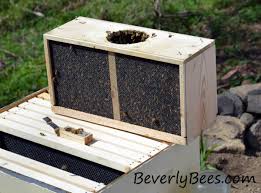 If something happens to one of the swarms, you can use the second swarm to raise new bees to replace the first. How To Install Package Bees In A Langstroth Hive Beverly Bees