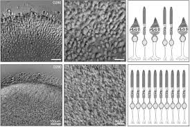 October in preprints
