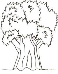 Okul Bahcesi Orman Haftasi Boyama Boyama Sayfalari Ormanlar Kelebekler