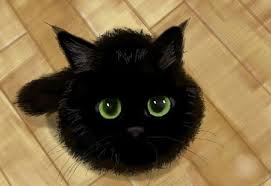 Big Innocent Eyes Black Cat From This Angle It Looks Like A Puff Ball P Cute Animals Crazy Cats Kitty