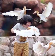 Maybe you would like to learn more about one of these? Tijet Masuk Kadu Enggang Tijet Masuk Kadu Enggang Harga Tiket Terkini Taman Burung Kuala Lumpur Blogger2u Tijet Masuk Kadu Enggang Cerita Penyuka Senja Welcome To The Blog