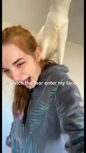 Cassie Hunter (jcehunter)