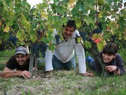 Fabulous Loire Reds From Domaine De La Chevalerie Terres Blanches Pierre Breton Chateau Du Coulaine And Source Du Ruault