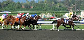 Breeders Cup Tickets Cheap Breeders Cup Tickets