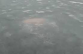 Image result for tbn:LDWriK6APZkVpM::www.spidart.com/uploads/post/image/2112/thumb_smiley_bisous.gif