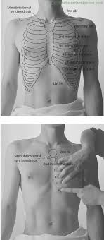 Pin De Saylor En Lr Akupunktura Atlas Anatomia Medica Anatomia Y Fisiologia Humana Anatomia Y Fisiologia