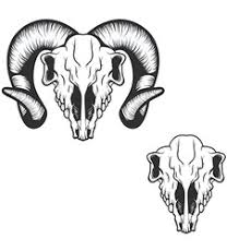 Ram Skull Vector Images Over 330 Ram skull traditional drawing line work vector for use. ram skull vector images over 330