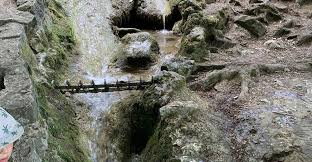 Der elektronische wanderführer umfasst 40 spannende und abwechslungsreiche touren, ob von aussichtsfels zu aussichtsfels oder rund um die burgruine hohenurach und den uracher wasserfall. Rundweg Uracher Wasserfall Bad Urach Deutschland Bergfex Wanderung Tour Baden Wurttemberg