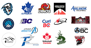 Extreme Power Consulting