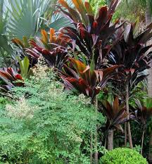Nevell Garden Coffs Harbour Garden Expressions Landscape Design For Residential Commercial And Tropical Garden Design Landscape Design Australian Garden