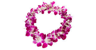 We did not find results for: Money Lei Graduation Gifts Have Long Meaning In History