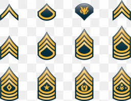 Rank Images Rank Transparent Png Free Download