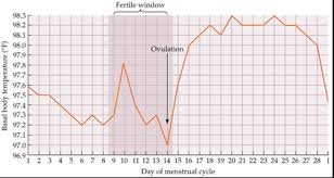 Should I Bother Charting My Temperature Changes In The Cycle