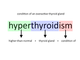 From winning to wise, there are dozens of positive words that start with w. Medical Terms Prefixes Roots And Suffixes Globalrph