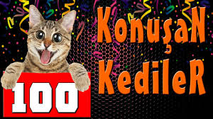 Konusan Kediler 100 En Komik Kedi Videolari Youtube