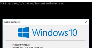 How To Run Windows Programs From Windows 10 S Bash Shell Windows Programs Windows 10 Microsoft Windows