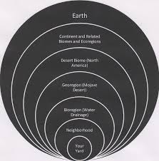 Ripple effect synonyms, ripple effect pronunciation, ripple effect translation, english dictionary definition of ripple effect. Ripple Effect For Developing A Sense Of Belonging Rainshadow Farm