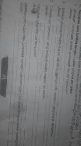 Tolong Y Plis Brainly Co Id