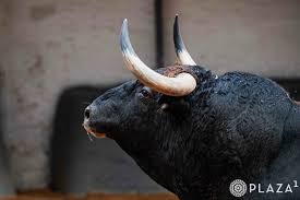 Lascosasdeltoro - News update