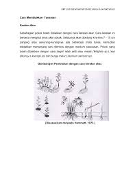 Learn vocabulary, terms and more with flashcards, games and other study tools. 207109641 Modul Rbt3120 Teknologi Rumahtangga Dan Pertanian Membalik Buku Halaman 101 133 Pubhtml5