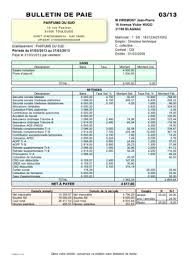 Cotisations sociales et principes de base. Exemple De Bulletin De Paie Cadre Cogilog