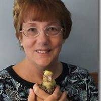 PDF) Overview of Bacterial Pathogens Affecting Companion Birds