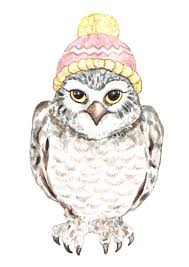 Bird Of Paradise Drawing Funny Baby Owl Original Watercolor Painting Harry Potter Inspired Owl Drawing Owl Painting Cute Owl Art Illustration Owl Sk Owl Sketch Owls Drawing Bird Drawings