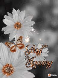 See more ideas about good morning, good morning gif, good morning greetings. Good Morning Gifs Tenor