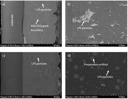 Functionalized Thiophosphate and Oxidic Filler Particles for Hybrid Solid  Electrolytes